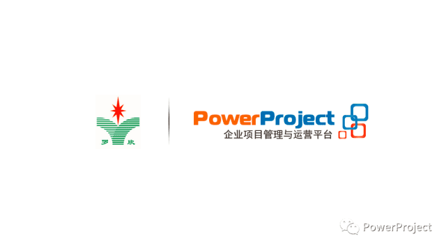 罗欣药业集团股份有限公司采购PowerProject项目管理系统(图1)