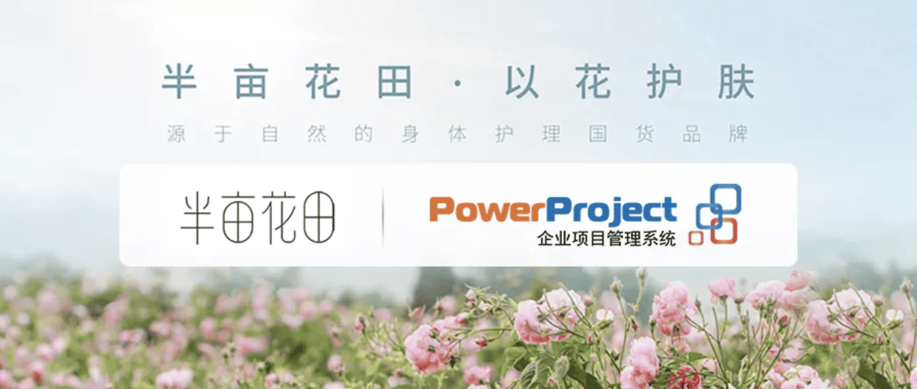半亩花田携手奥博思，助力企业数字化项目管理转型(图1)